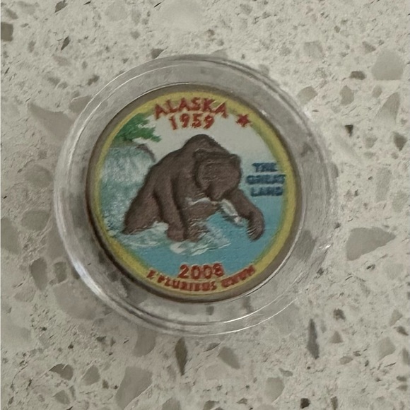 Painted Quarters (Rare) - Picture 1 of 2